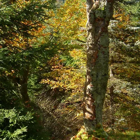 Retreat Hejnice (Liberec)