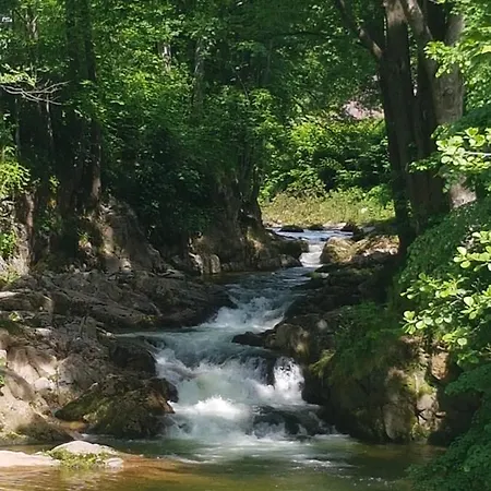 Retreat Hejnice (Liberec)