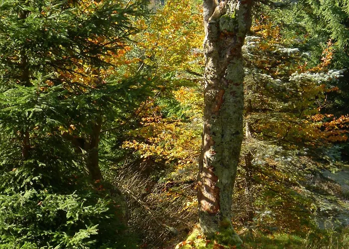 Retreat Hejnice (Liberec)