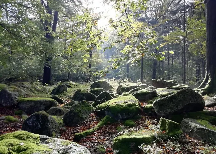 Retreat Lägenhet