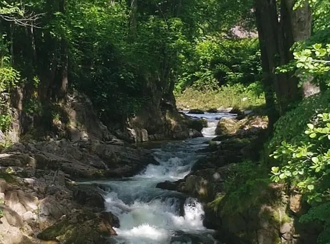 Retreat Hejnice (Liberec)